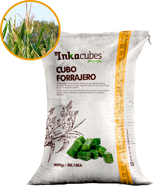 Cubo Forrajero Vacunos INKACUBES®